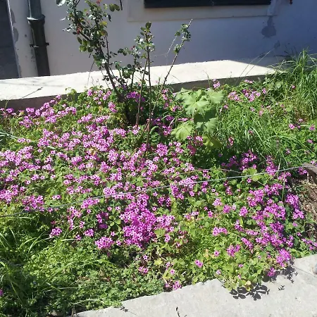 Sabljak Apartamento