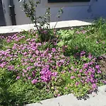 Sabljak Апартаменты