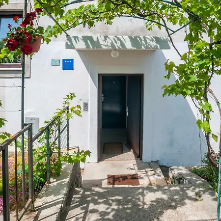 Sabljak * Mali Losinj